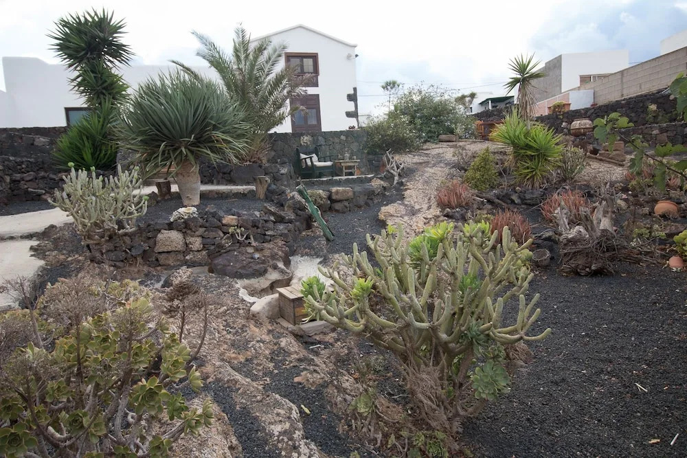 Rural Los Piquitos Lanzarote