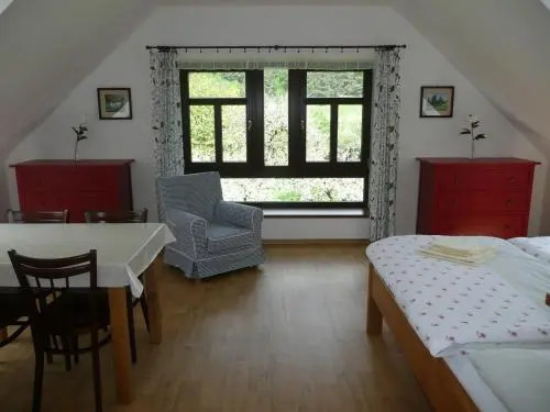 Hotel Vír
