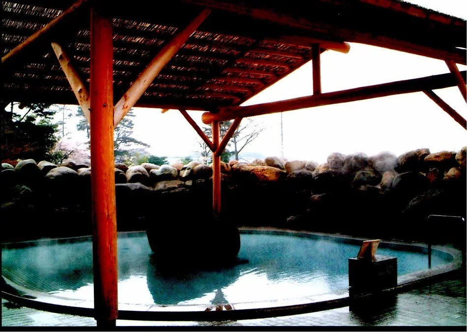 Nakagawa Onsen Hotel Arai