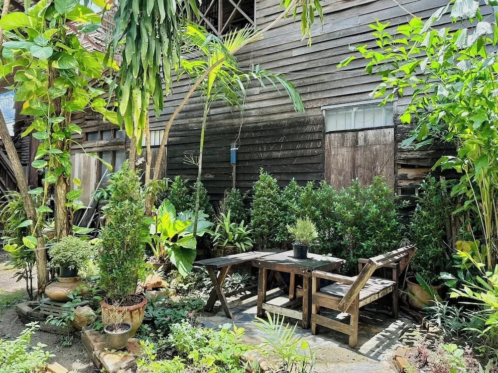 Cozy Nest CNX