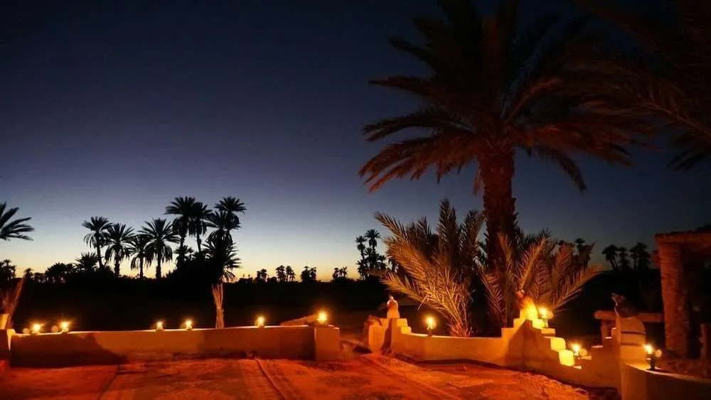 Camp Sahara Nights