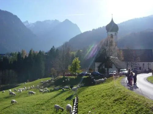 Hotel Gasthaus Schäfle