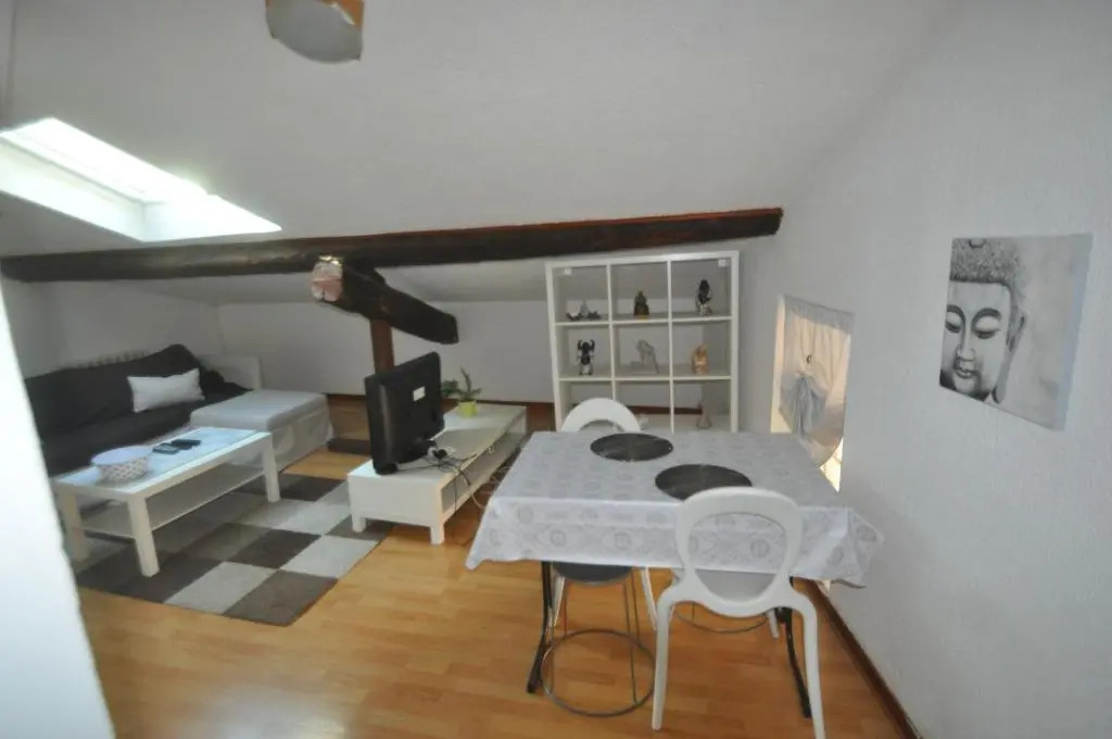 sassenage au pied du Vercor 1 appartement