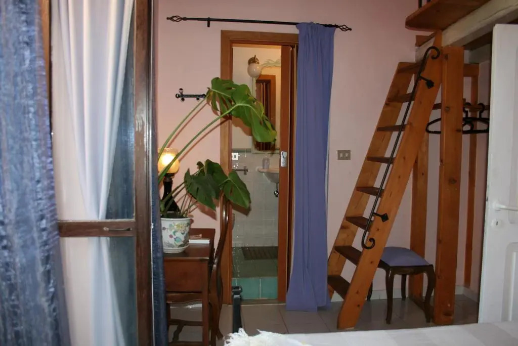 Il Camaleonte dal 2005