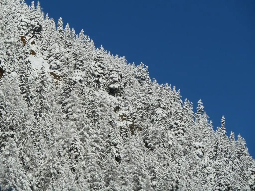 Appartement Gurgl