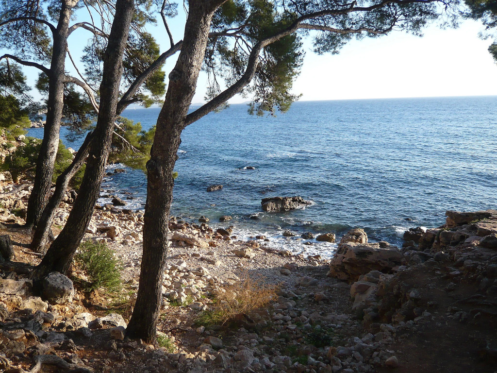 Apartment Super Ile Rousse