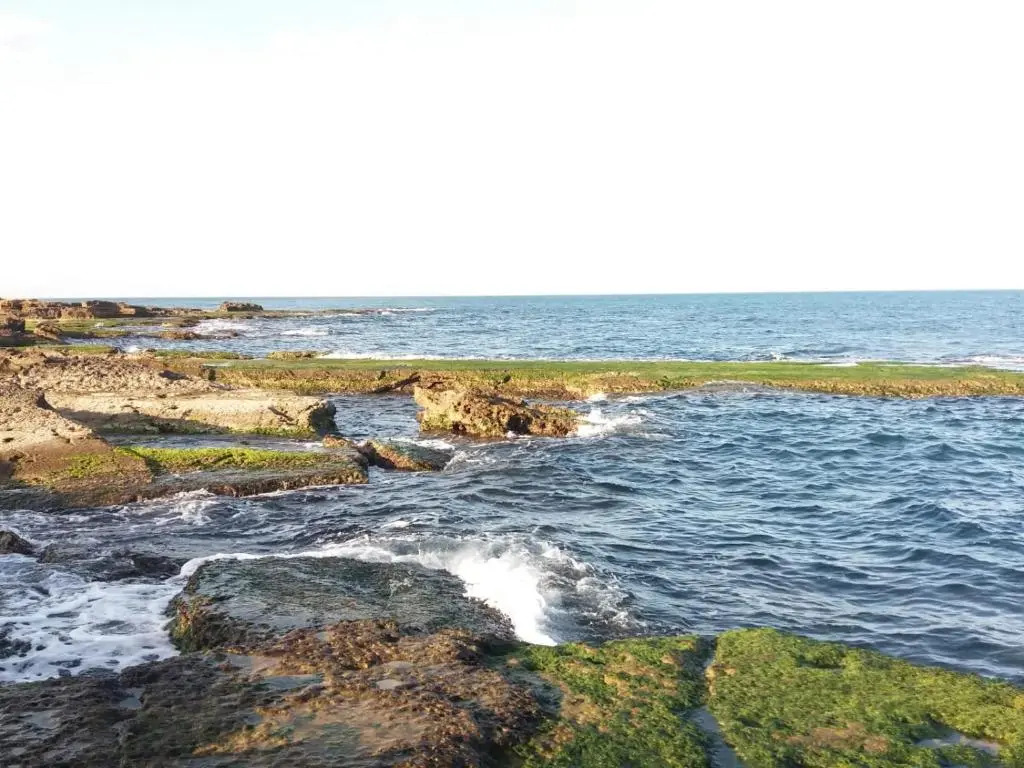 Apartamento Agape La Mata