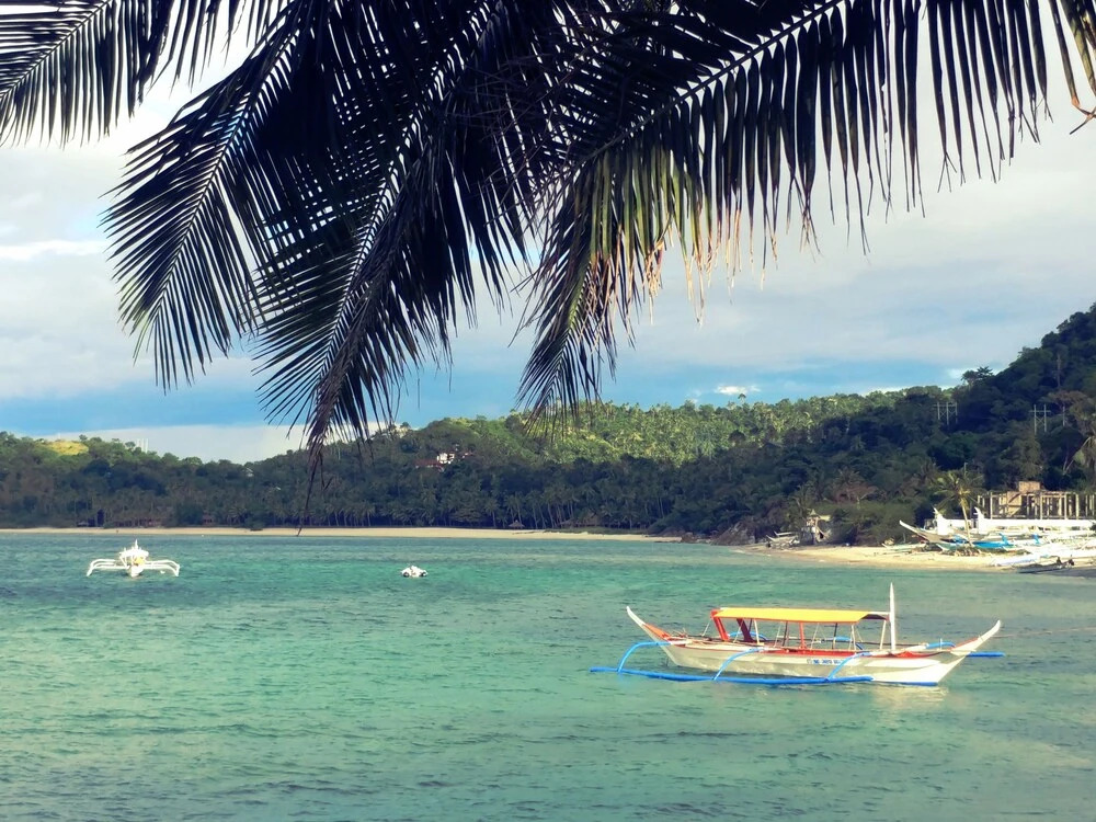 Dolphin Bay Resort Puerto Galera