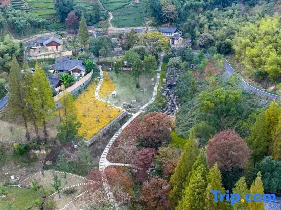 AlorValley  HuZhou
