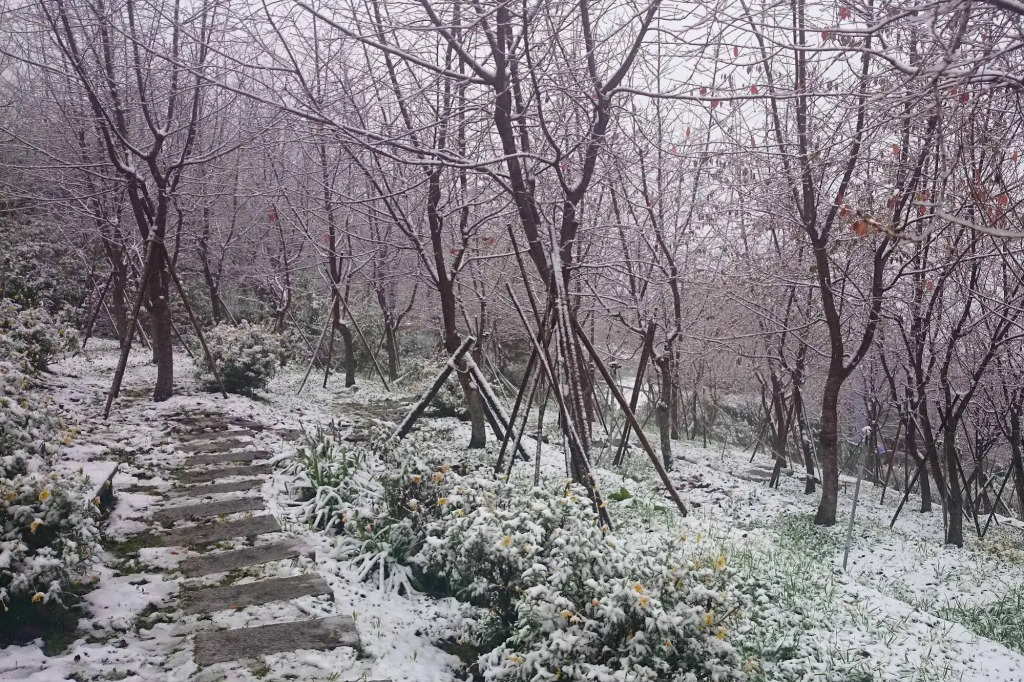 Liching Garden Villa