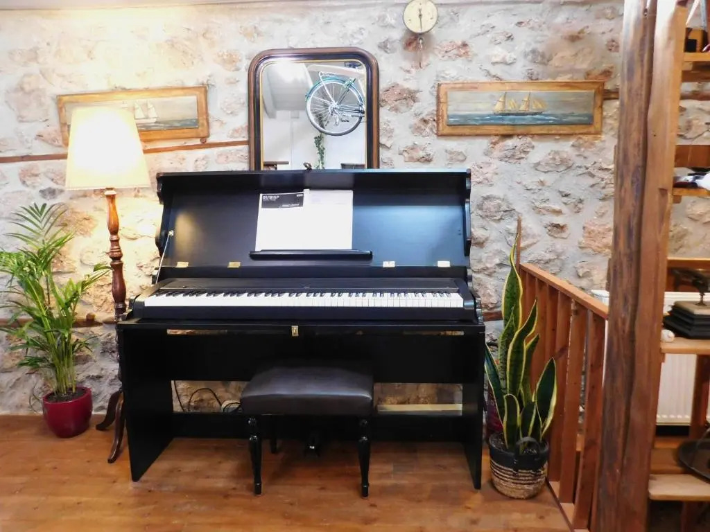 Agoriani Art Suite - 4 seasons natural living