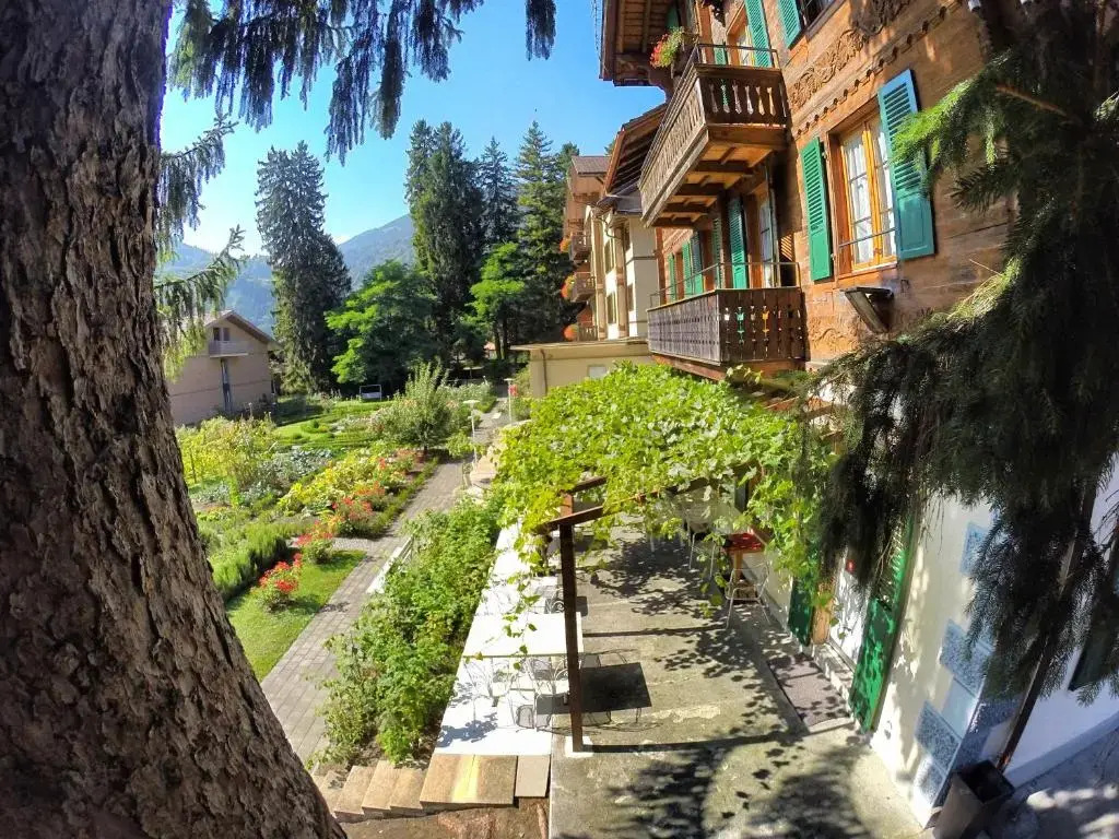 Edelweiss Lodge
