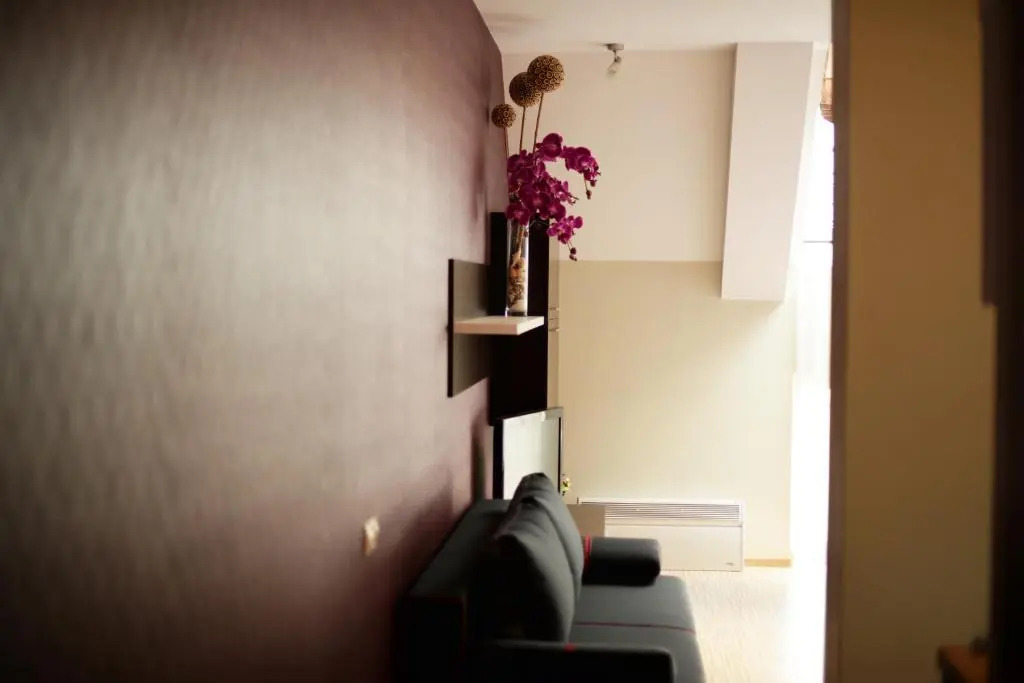 Palanga Apartments - Studio 1