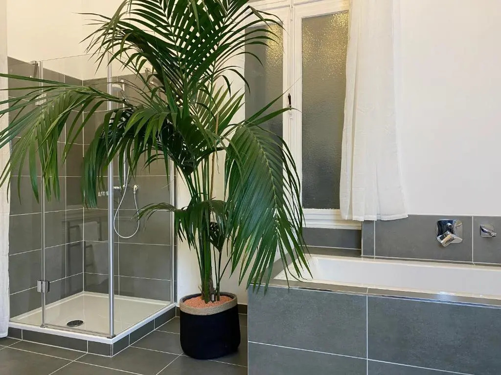 Direkter Moselblick 126m² großer Altbau und Terrasse