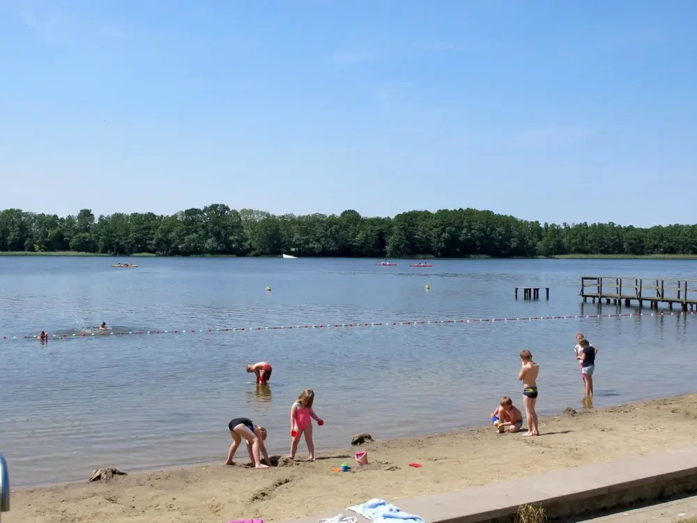 Seeschwalbe Mirow in Mirow