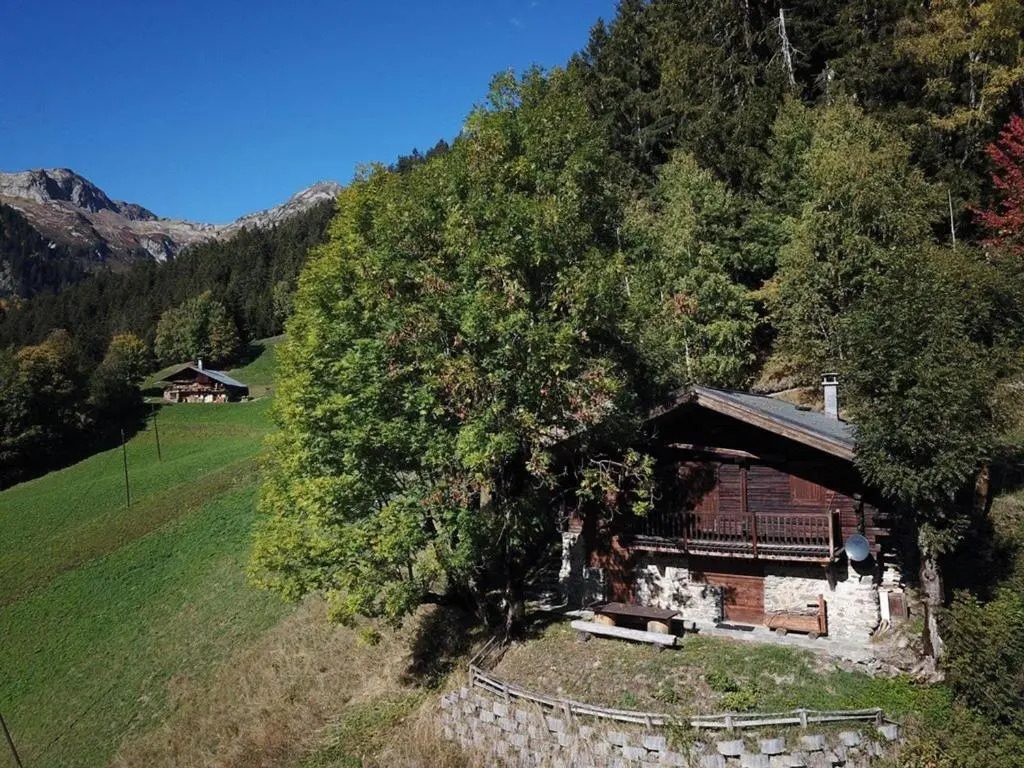 Chalet 3 pièces, 6 pers, 2 km des pistes, plein sud, internet - FR-1-342-158