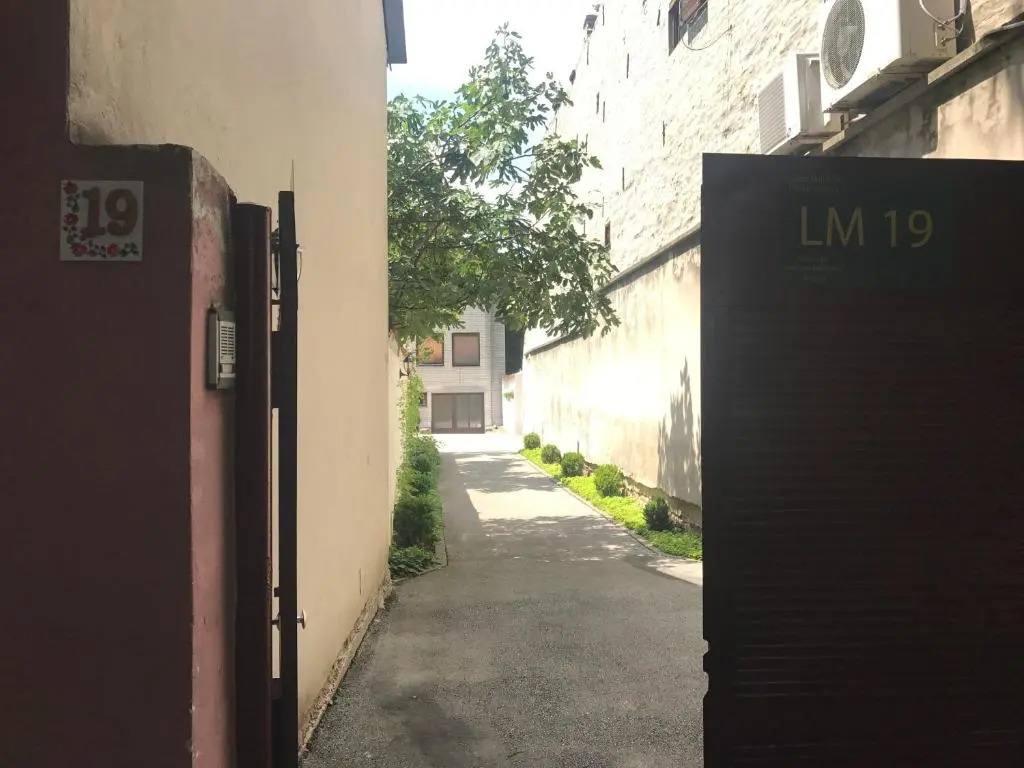 Lm 19