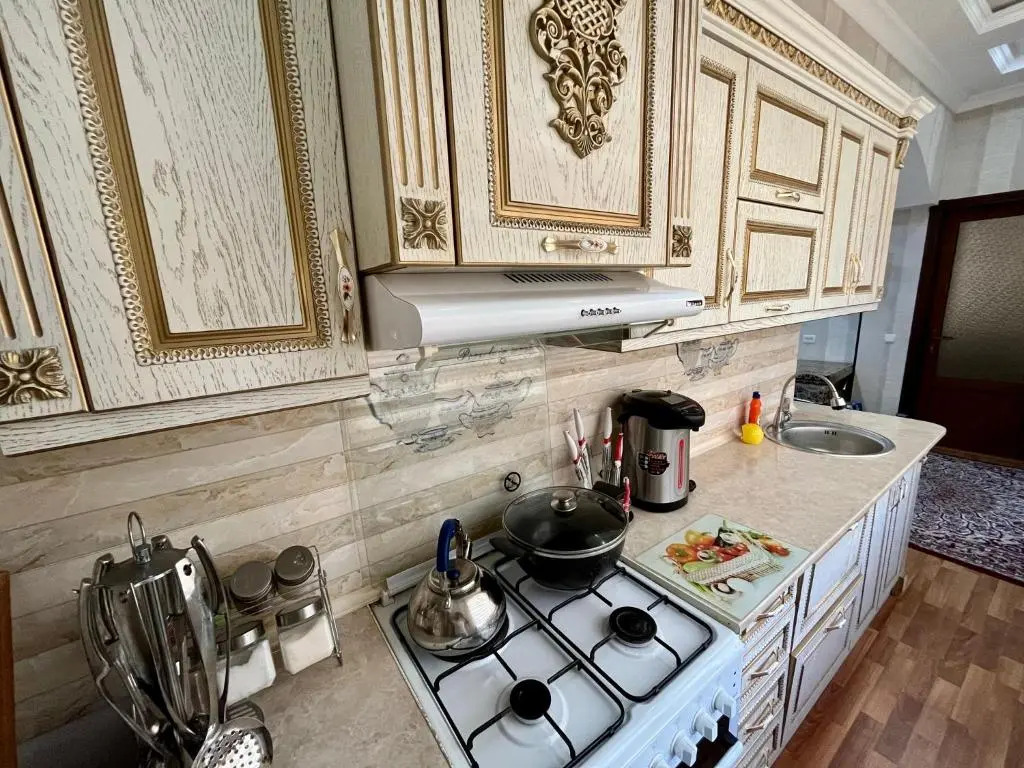Samarkand luxury apartment #2