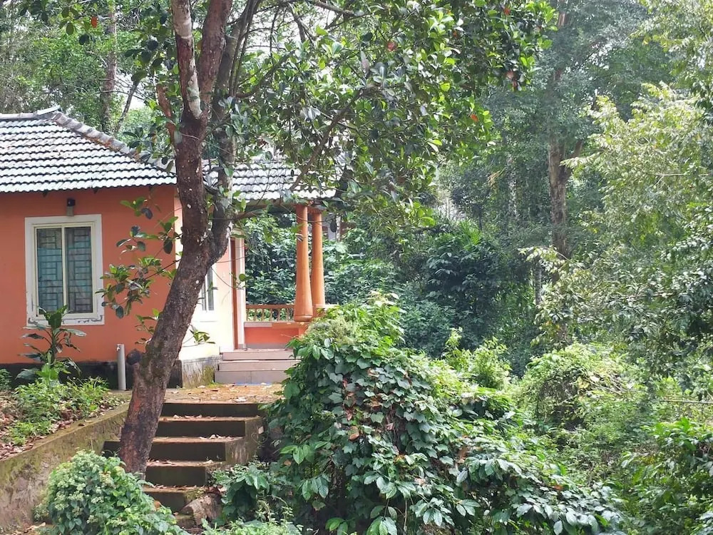 Jungle Valley Resort