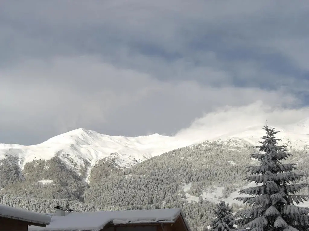 Alpen - Hotel Panorama