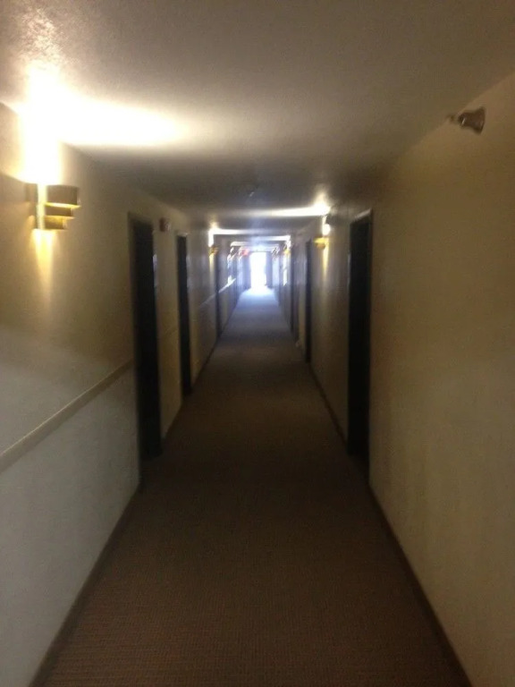 The Thunder Cove Hotel