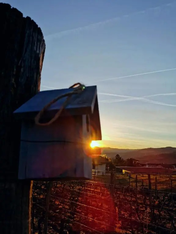 Agriturismo Mondo