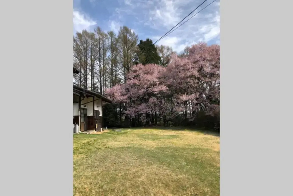 伊那谷別邸でシェアハウス-share old folk house-
