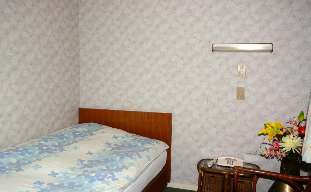 Hotel Cotton 100%