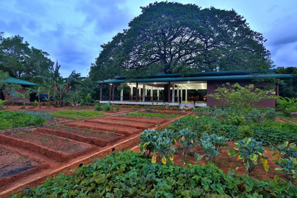 Grand & Gangula