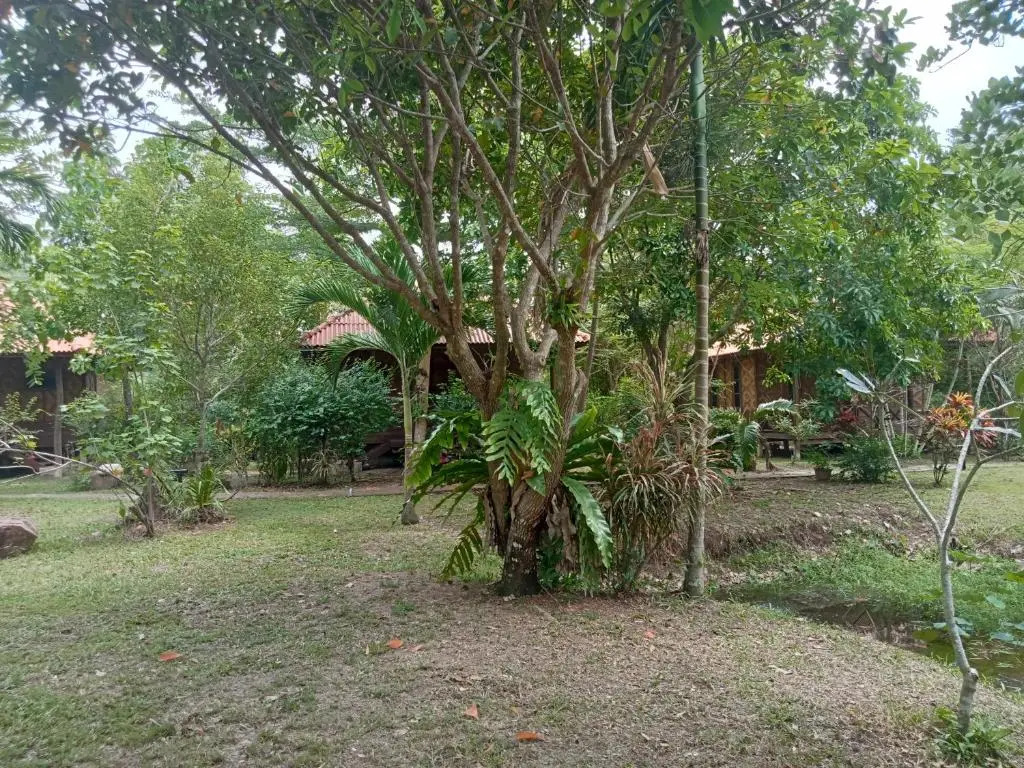 Ban Ban Bangalow