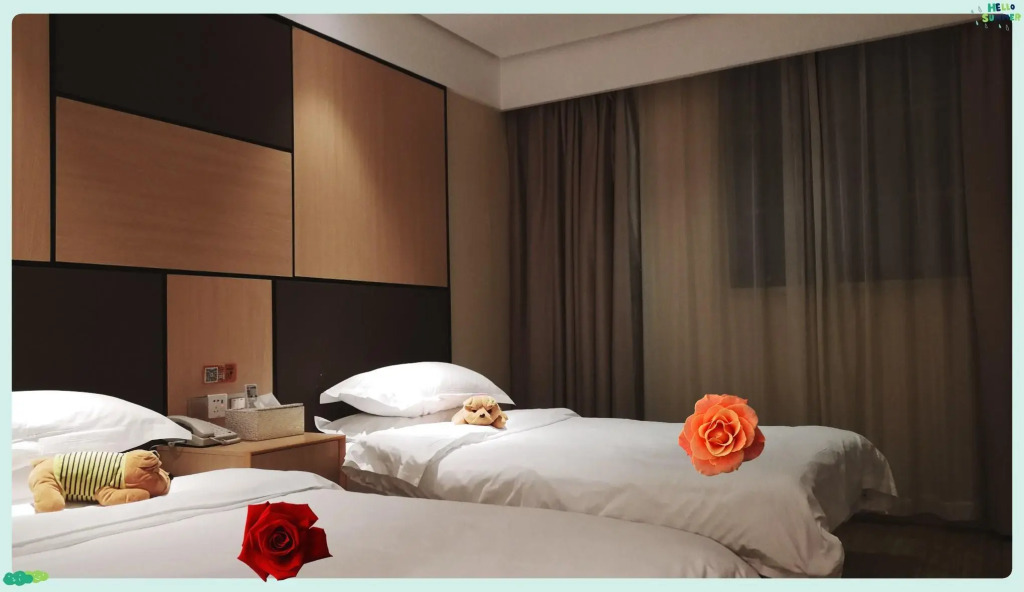 Hanting Hotel Shanghai Jiading Xincheng