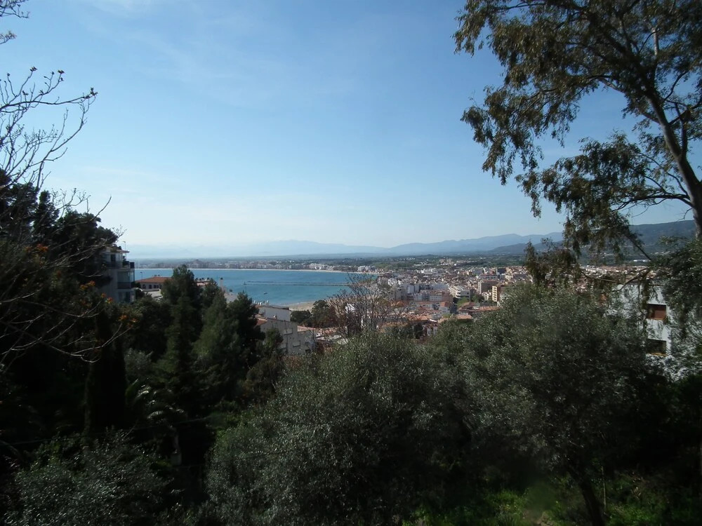Agi Puig Rom