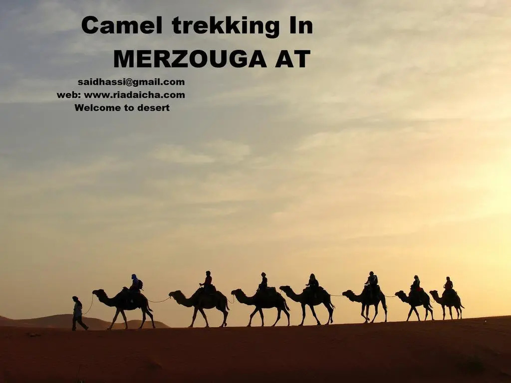 Camel Trekking Bivouac