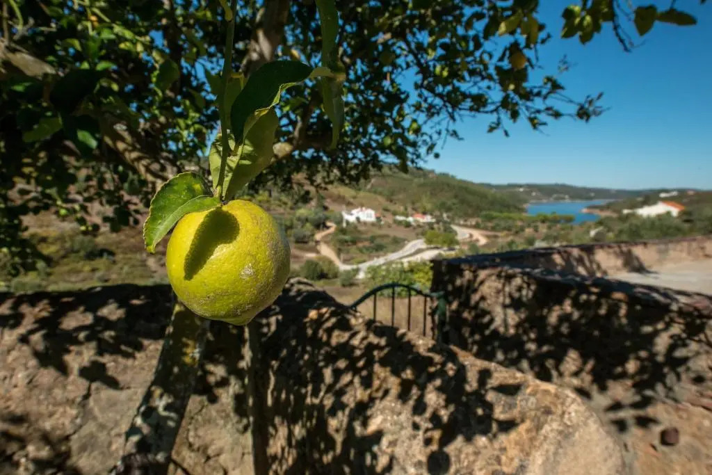 Quinta da Eira Velha