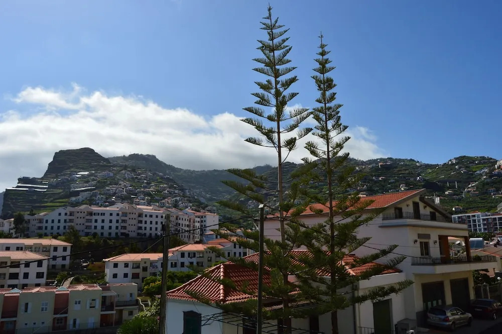 T2 Câmara de Lobos