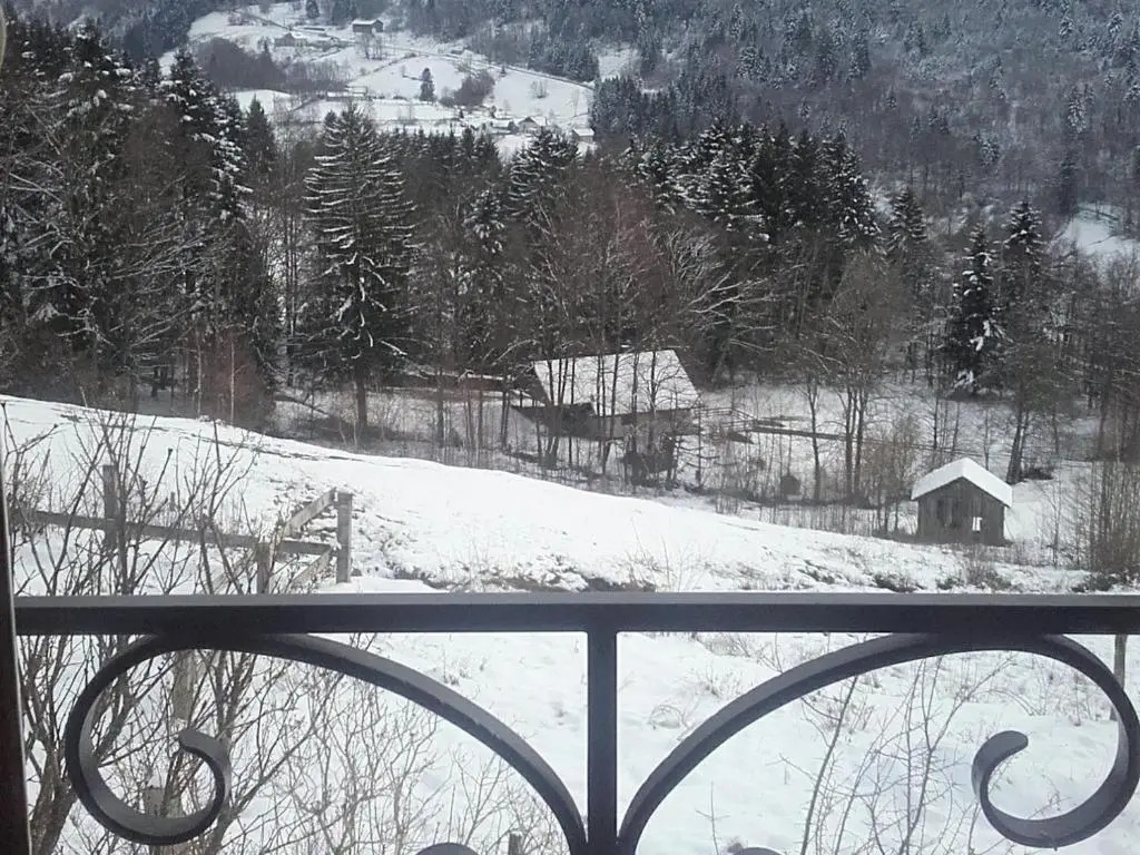 Appartement Le Menil, 1 pièce, 2 personnes - FR-1-589-164