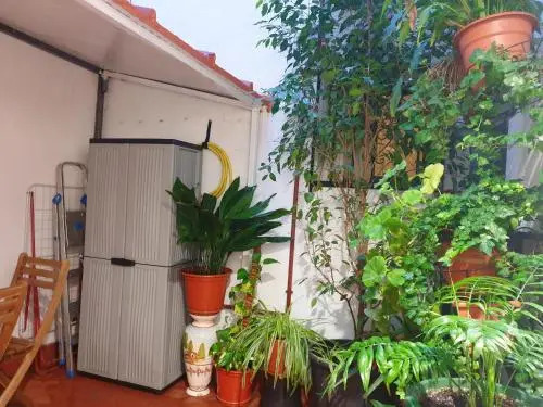 Apartment With in Madrid With Wifi