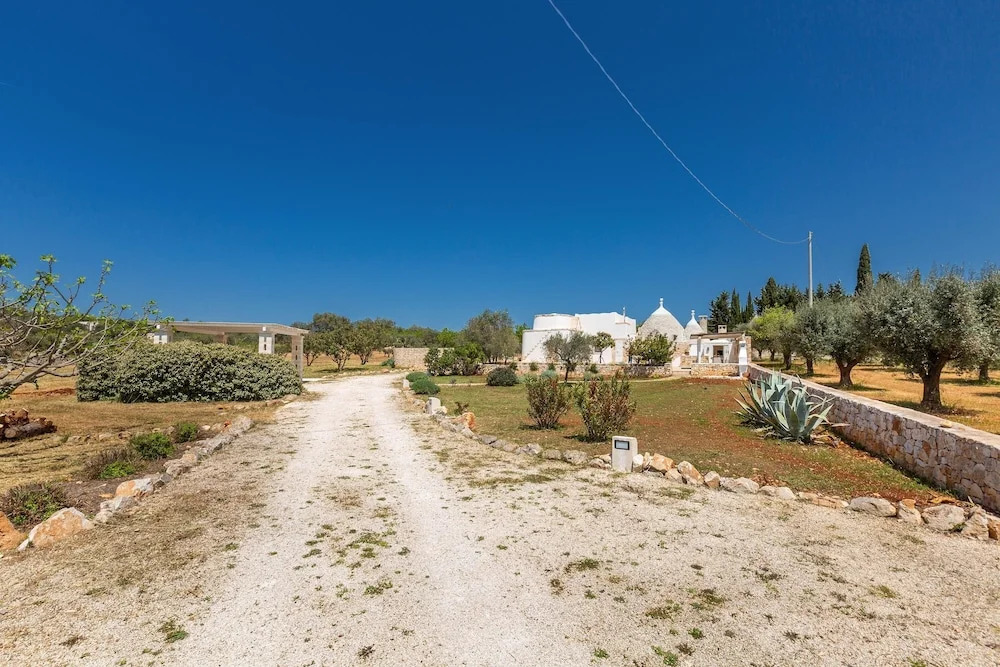 2530 Trullolive by Perle di Puglia