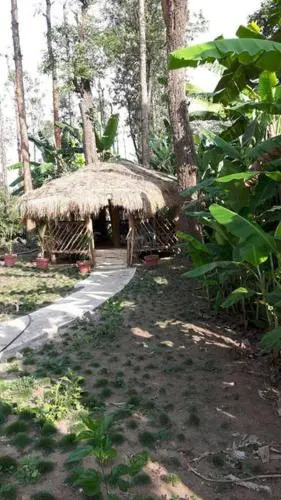 Double Occupancy Room