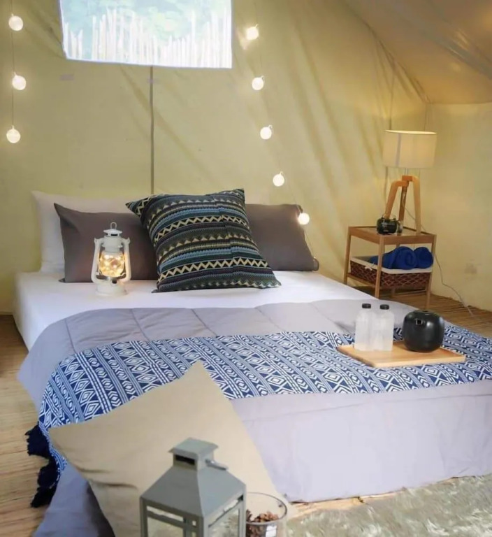 Rewild Camp And Cafe