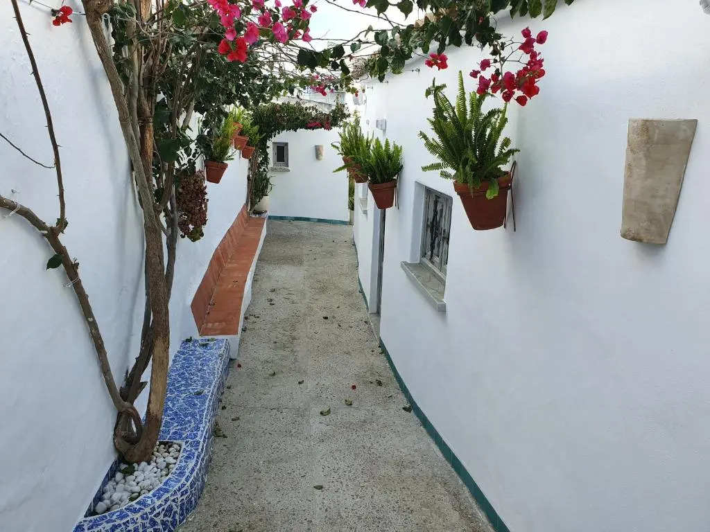Apartamentos la chanca playa