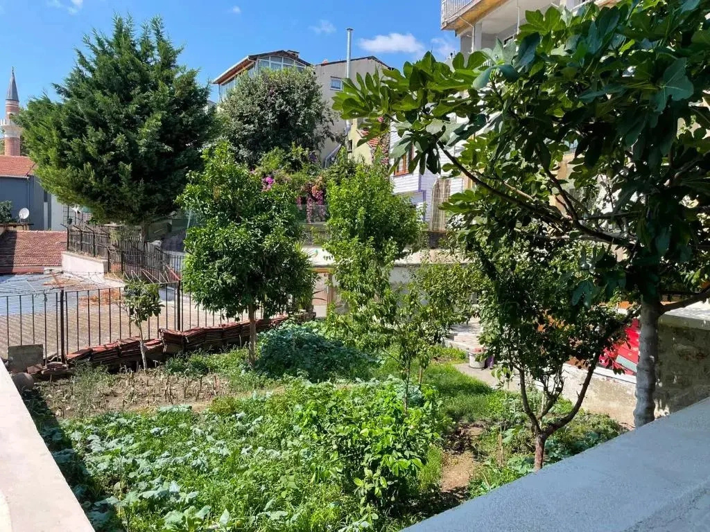 Hotel Lina Oldcity