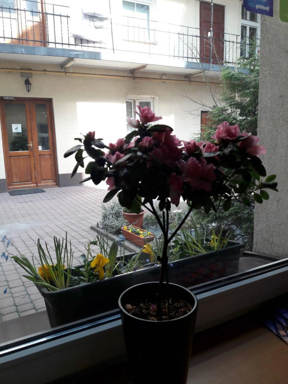 Nobel Suites