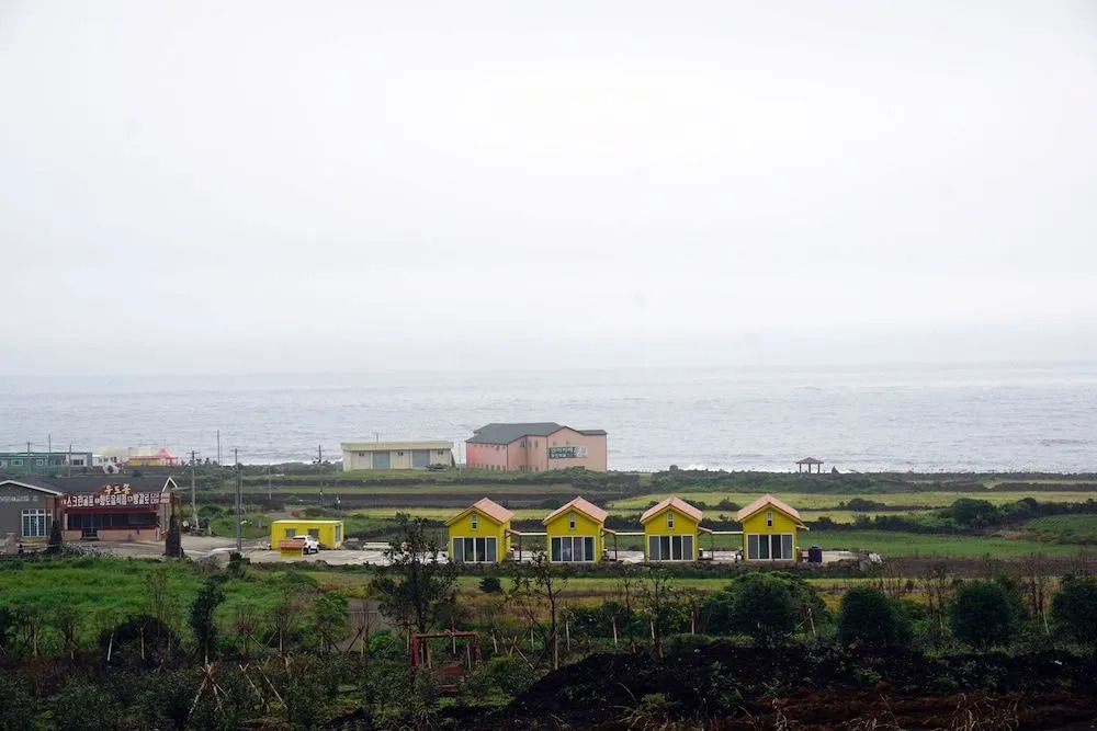 Udo Sunflower Pension