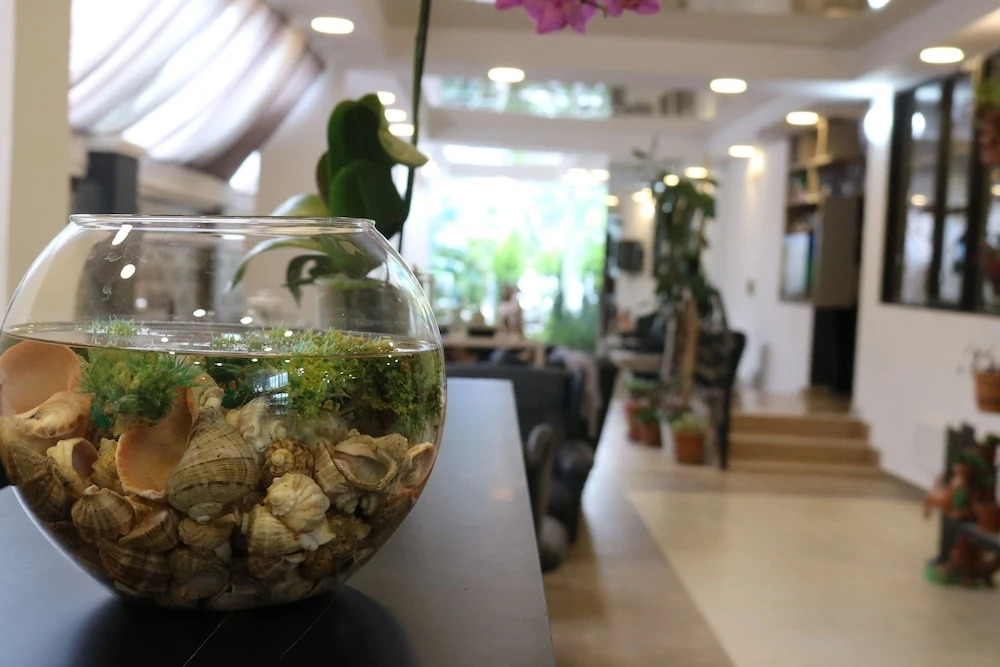 Отель Seashell