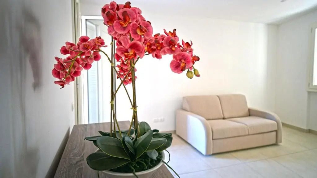 Leo Apartments