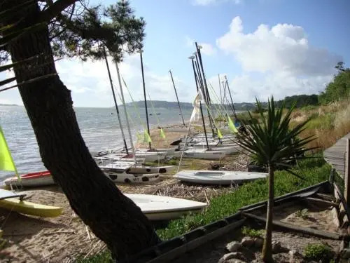 Ecobosque