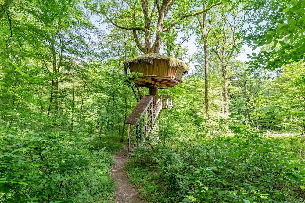 LArbre à Cabane