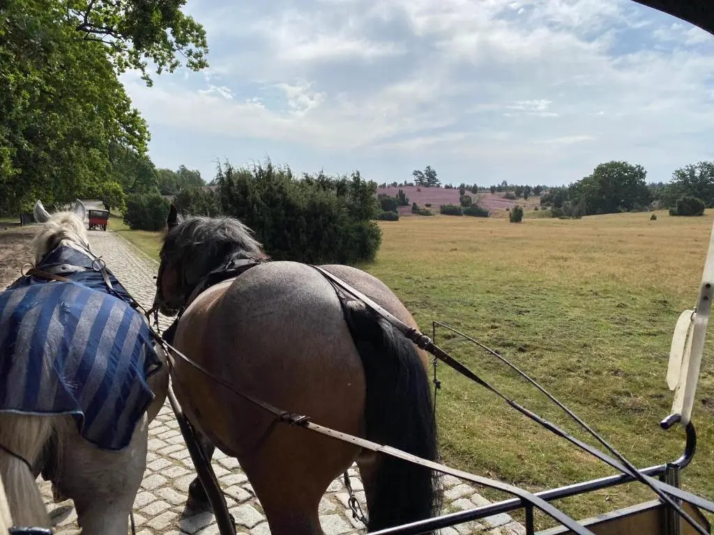 Huus Utspann Fewo Mit Terrasse - 23 Km Vor Hamburg -