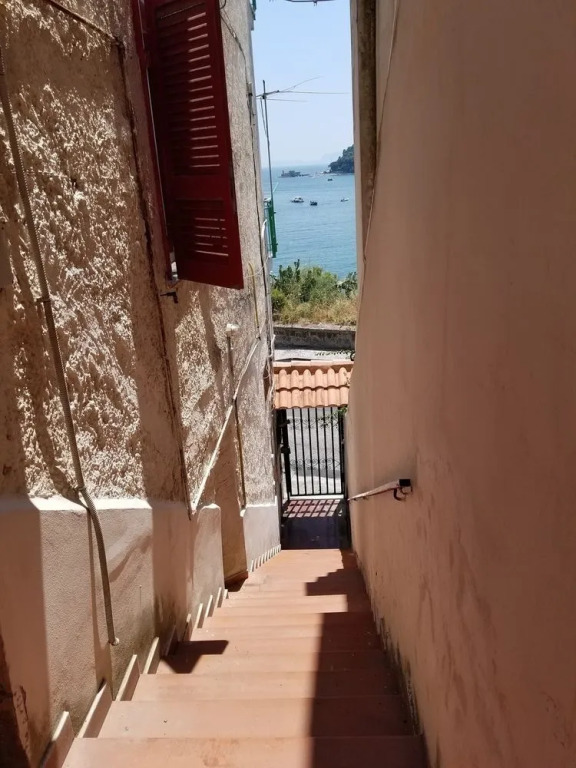Bellavista